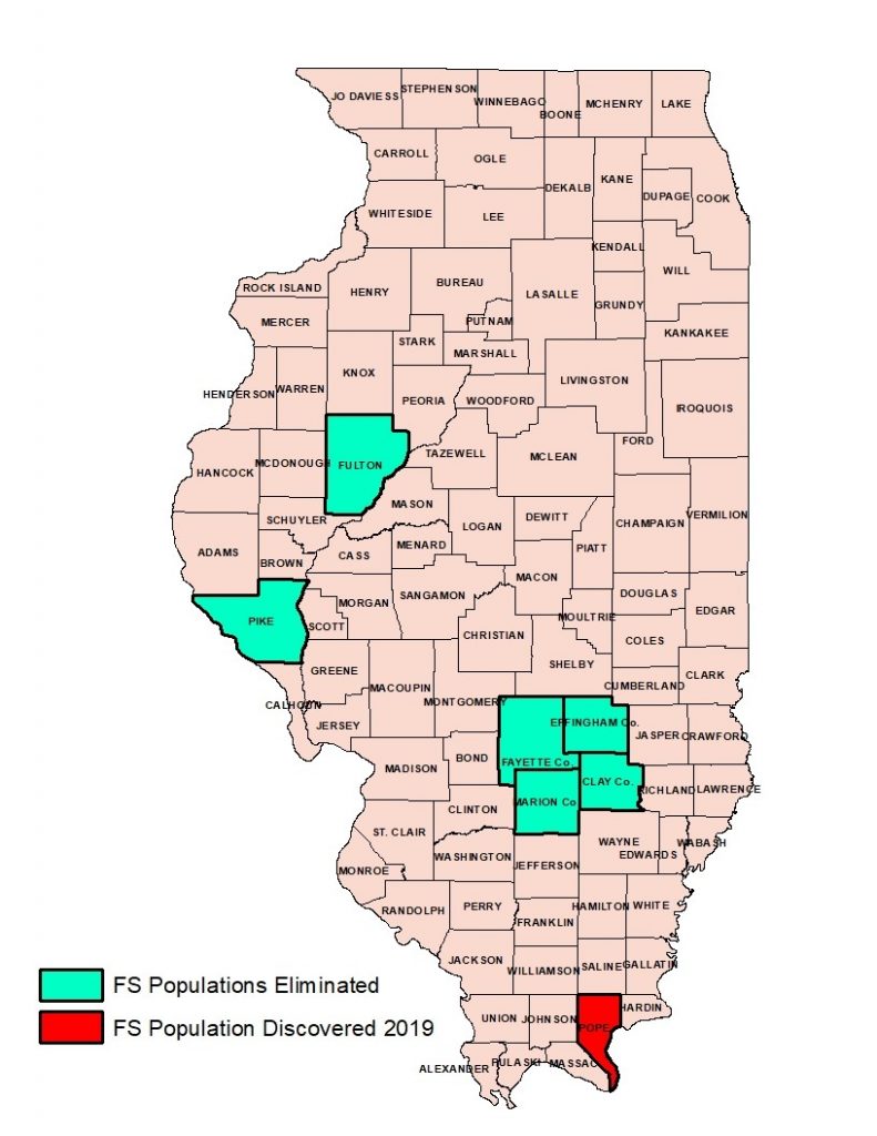 A map of Illinois indicating the counties that feral swine populations were eliminated and discovered.