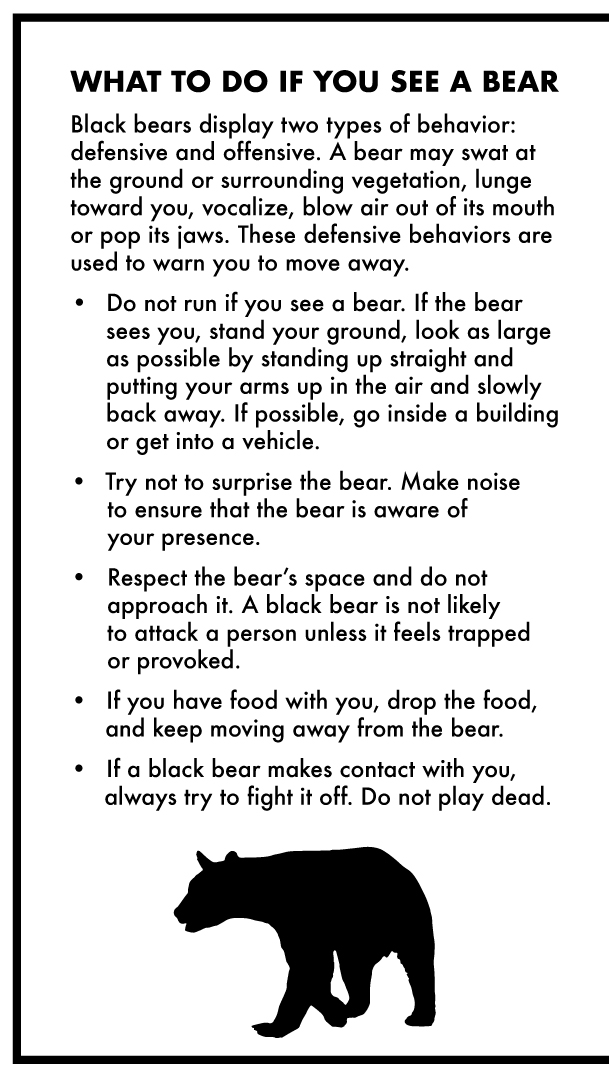 Some text indicating what to do if you see a bear. At the bottom of the text is a black bear silhouette.