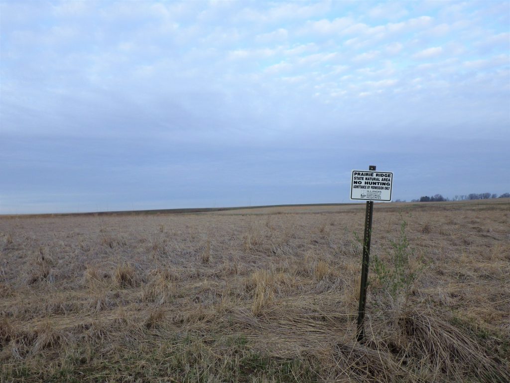 A prairie at sunrise. One view of Prairie Ridge State Natural Area.