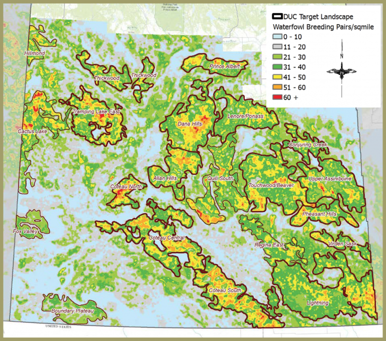 Outdoor Illinois Journal
