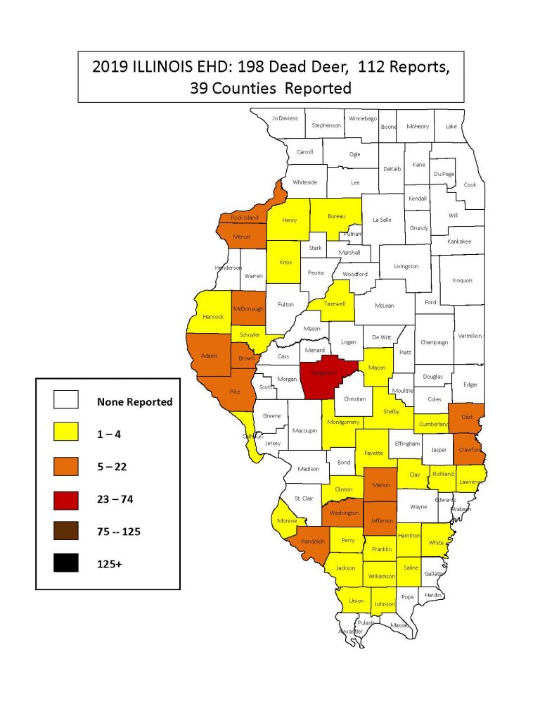 A map of Illinois counties colored in yellow or orange to indicate which counties have reports of Epizootic Hemorrhagic Disease in deer.