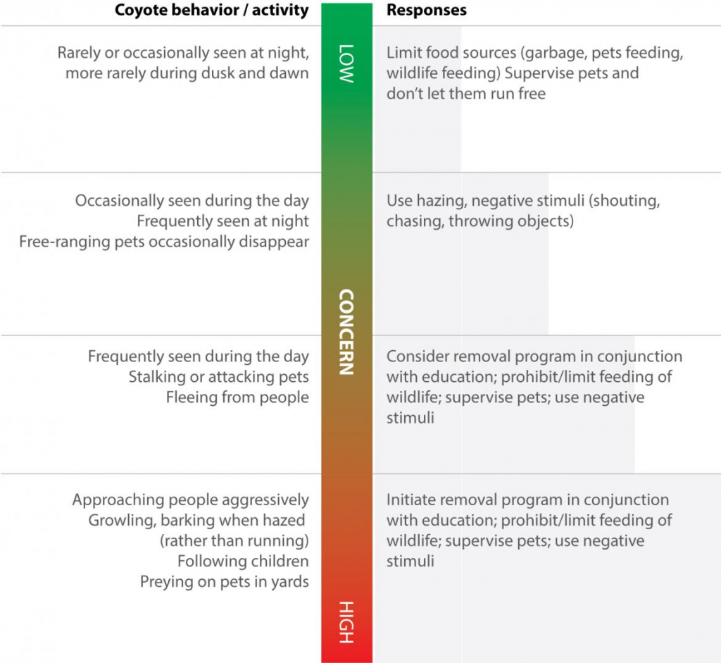 A chart indicating different coyote behaviors and how humans should respond.