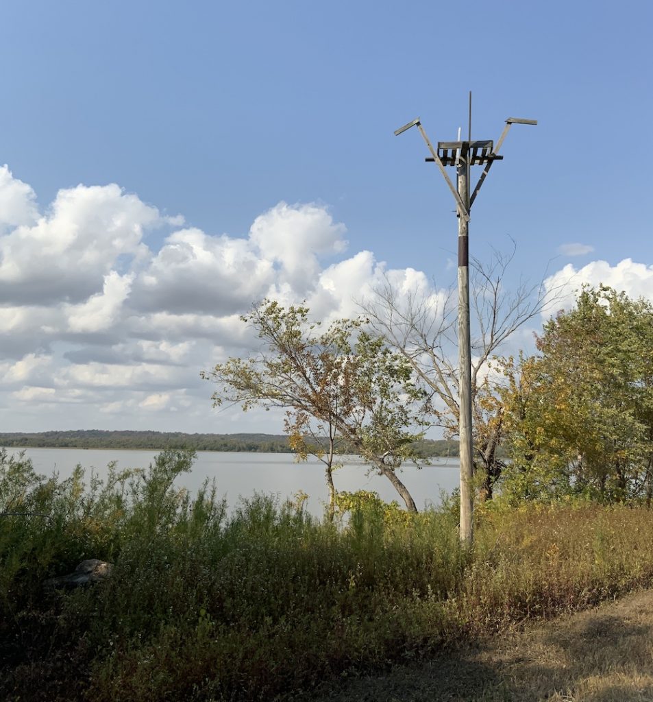 A wooden platform high in the air on a tall telephone pole is surrounded by grasses, vegetation, and shrubs. In the background is a lake against a partly cloudy blue sky.