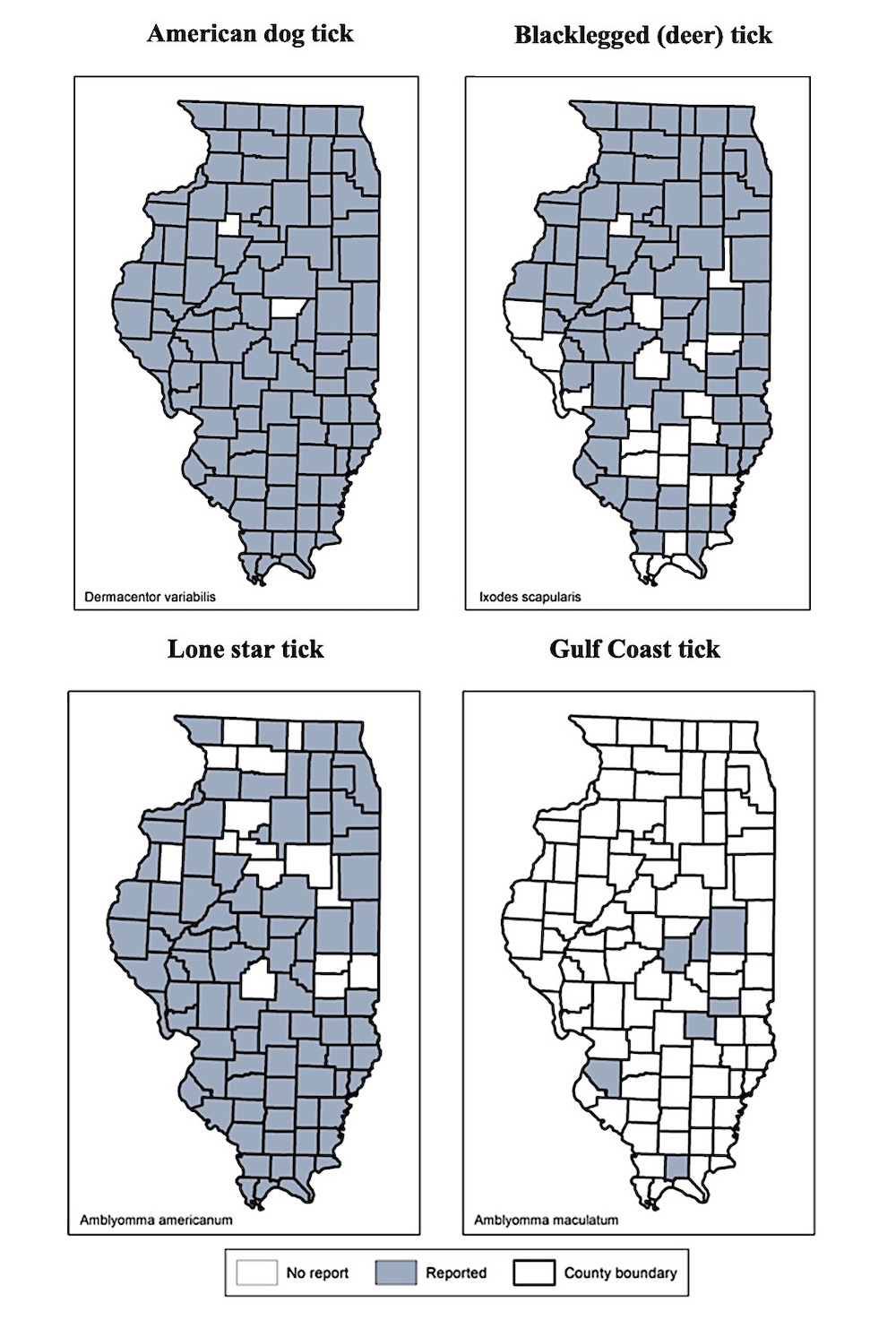 A gray scale graphic with four maps of Illinois indicating the presence of the American dog tick, the Blacklegged (deer) tick, the Lone star tick, and the Gulf Coast tick in Illinois.