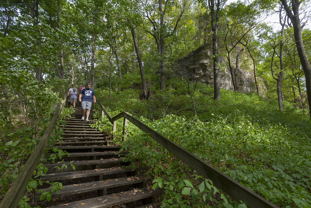 A small group of people walk down a wooden stairway in a forest. 