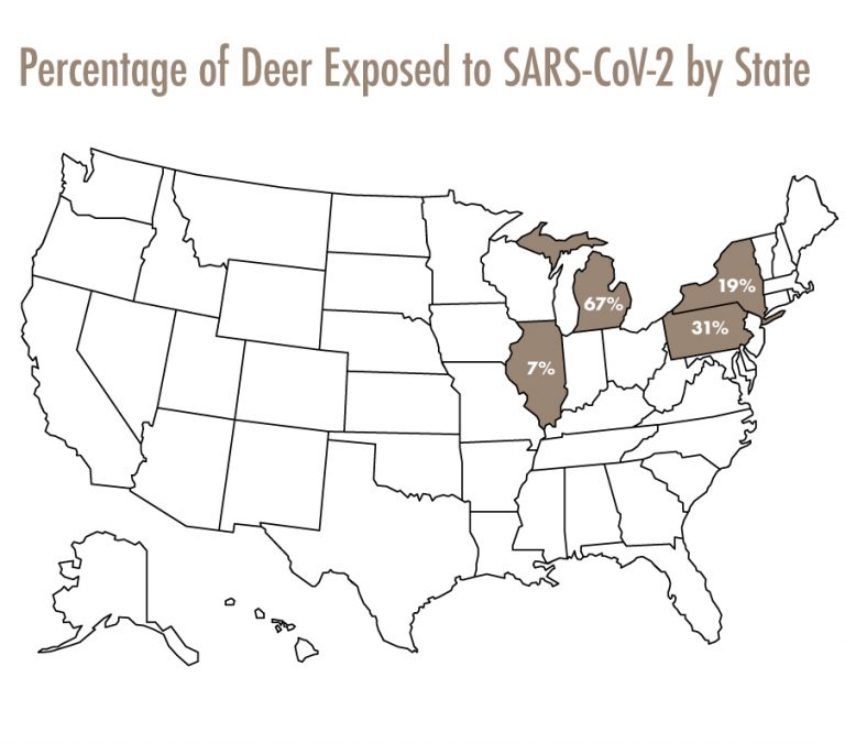 Outdoor Illinois Journal What is Known About Whitetailed Deer and