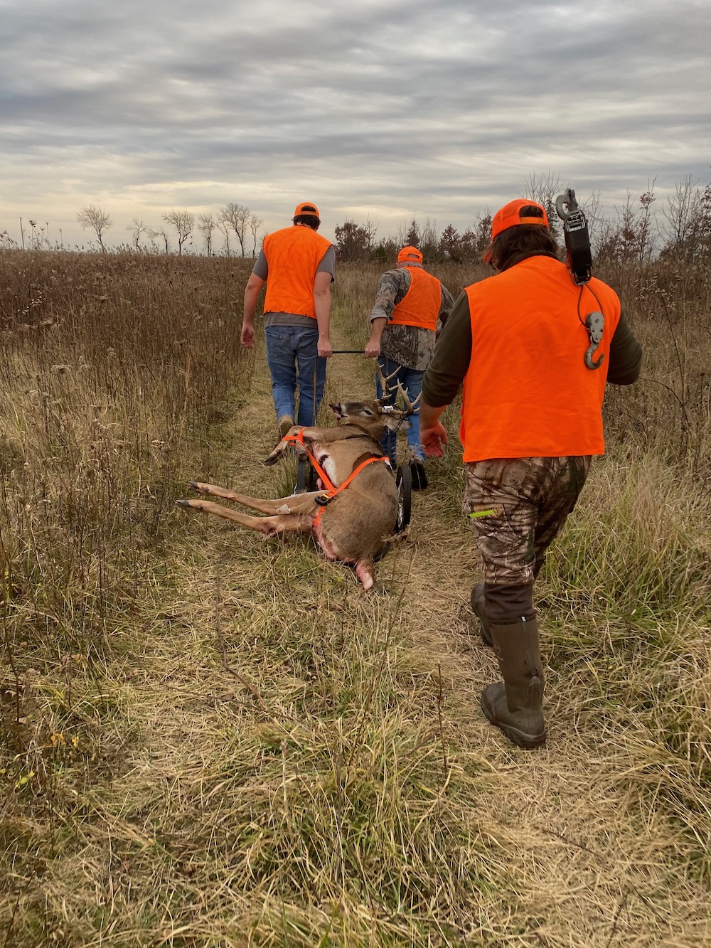 Three hunters in blaze orange vests and hats walk along a trail in a grassland. Two hunters pull a hand-cart carrying a harvested deer. One hunter follows behind the cart. In the background are a few trees on the horizon against a cloudy overcast sky.