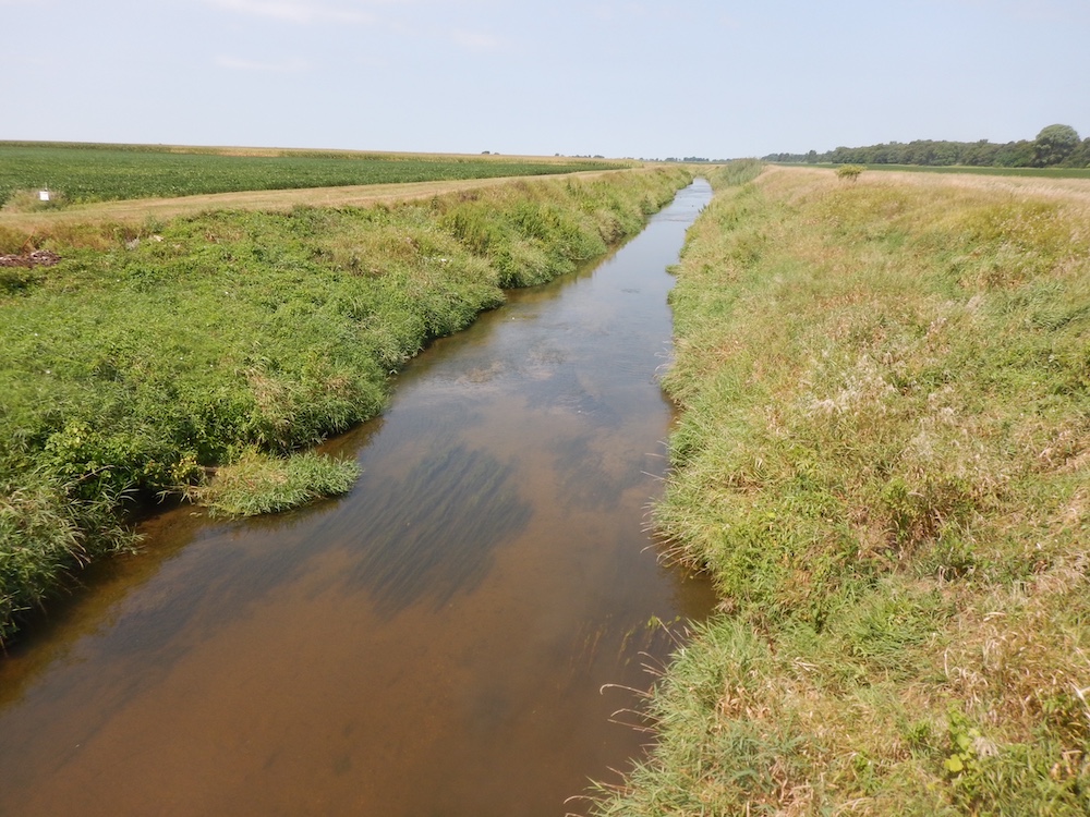 A ditch holding some water separates two green agricultural fields. 