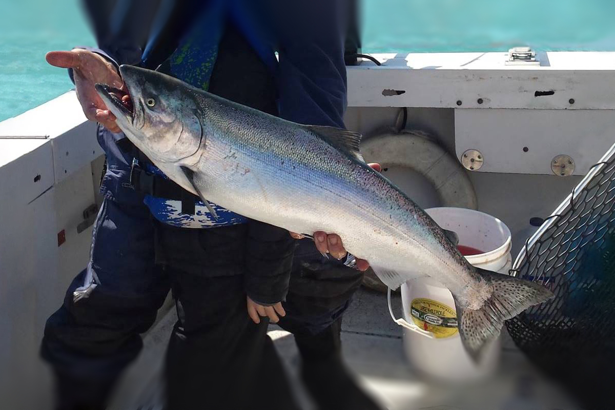 A fisherman with dark clothing holds a silver salmon up displaying his successful catch. In the background is the white railing of a boat and teal colored water.