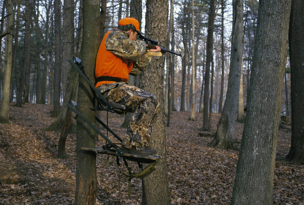 In the late afternoon faded light, a hunter in blaze orange and camouflage gear sits in a tree-stand in a woodland and aims his shotgun to the right. 