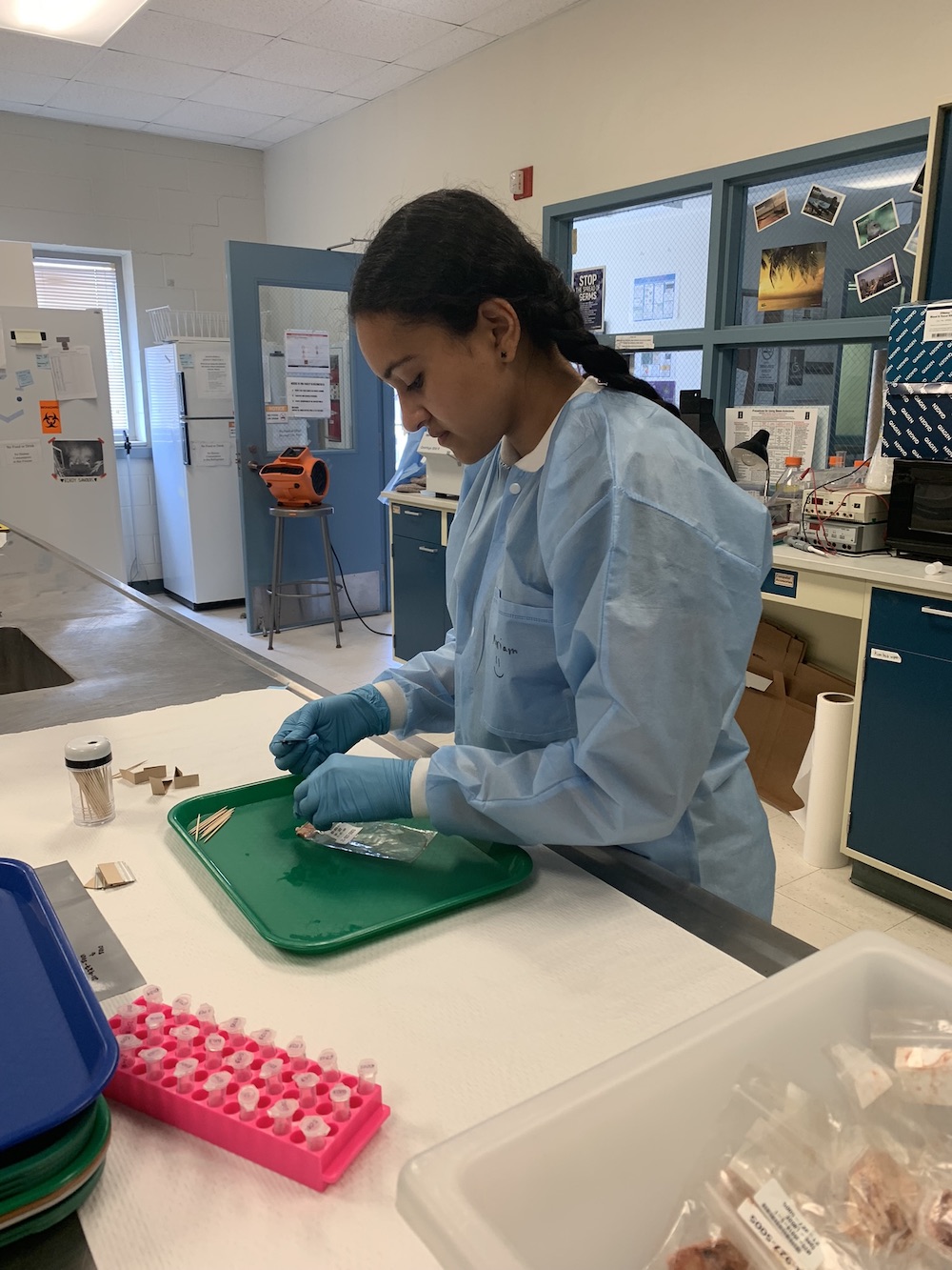 A scientist in a laboratory wears a blue lab suit as she prepares a tissue sample for study.