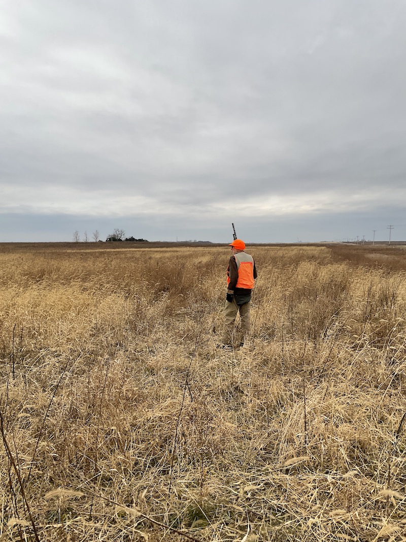 Outdoor Illinois Journal: Upland Game Fall Hunting Forecast 2023-2024