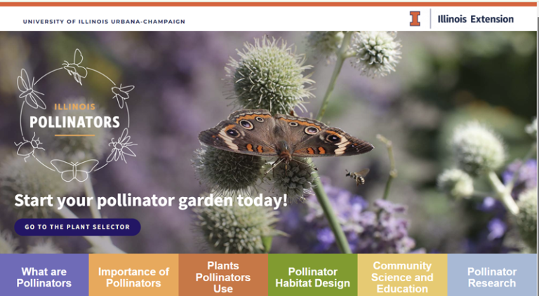 Outdoor Illinois Journal: The Illinois Pollinators Website jest jak ...