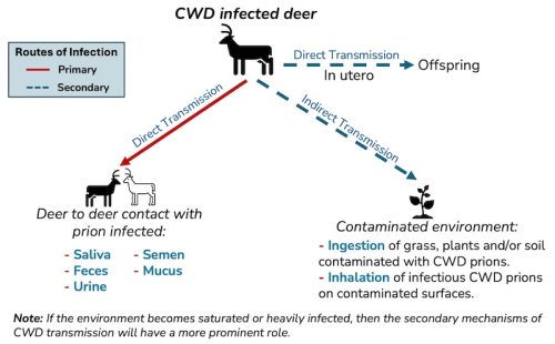 Outdoor Illinois Journal: Legend or Reality: Breaking the code of CWD myths