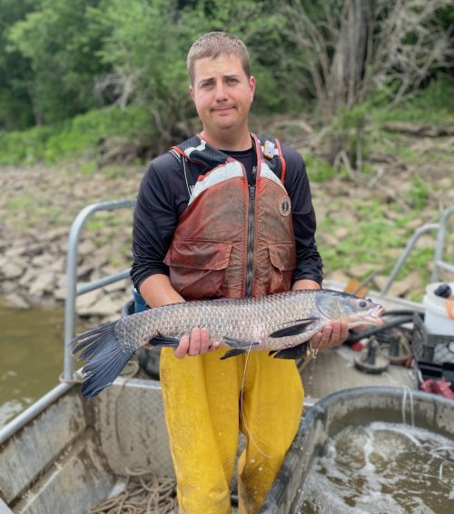 Outdoor Illinois Journal: Black Carp in Illinois: An invasive threat to ...