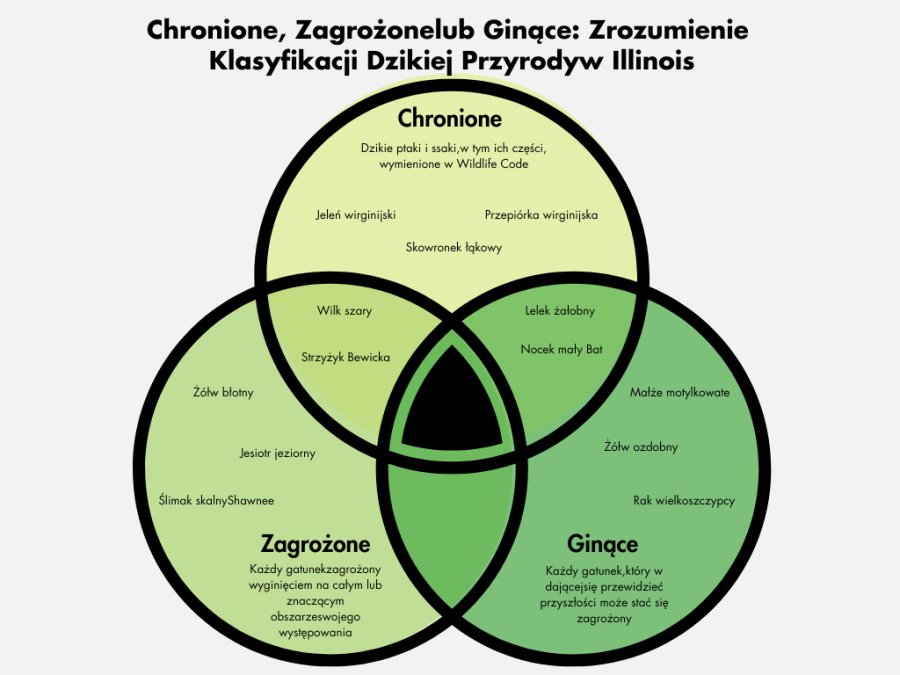 Outdoor Illinois Journal Chronione Zagro one Lub Gin ce Zrozumienie 