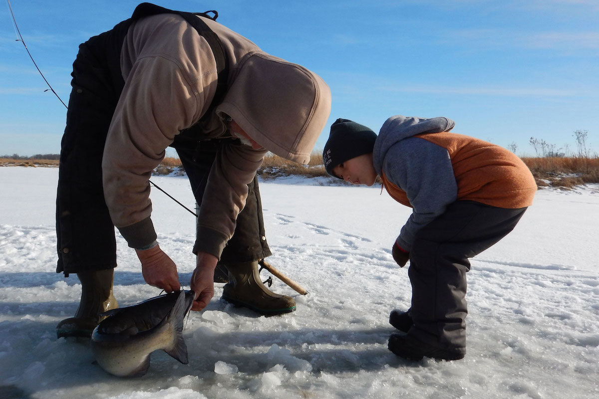 During a winter's day on an icy pond, an older fisherman bends down to unhook a catfish off his fishing line while the catfish is resting on the ice of the pond. The grandson of the older fisherman crouches down to look at the catch. A shoreline of tall brown grasses against a bright blue sky is in the background.